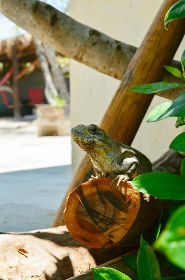 Skycamp Camping Holbox エクステリア 写真