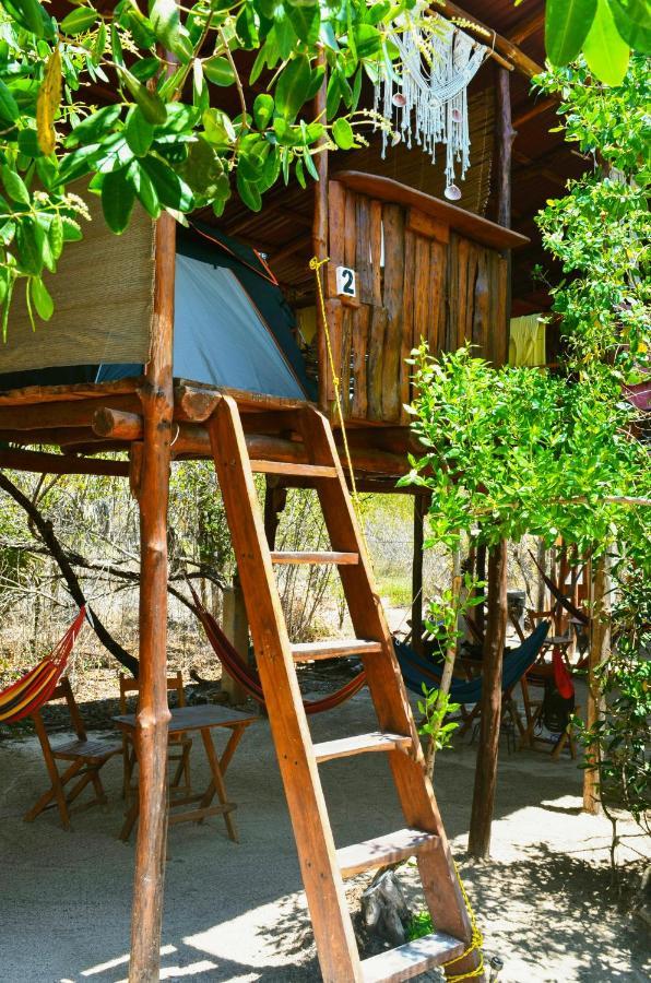 Skycamp Camping Holbox エクステリア 写真