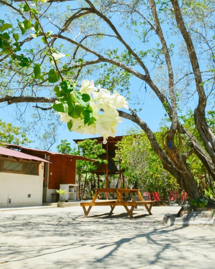 Skycamp Camping Holbox エクステリア 写真